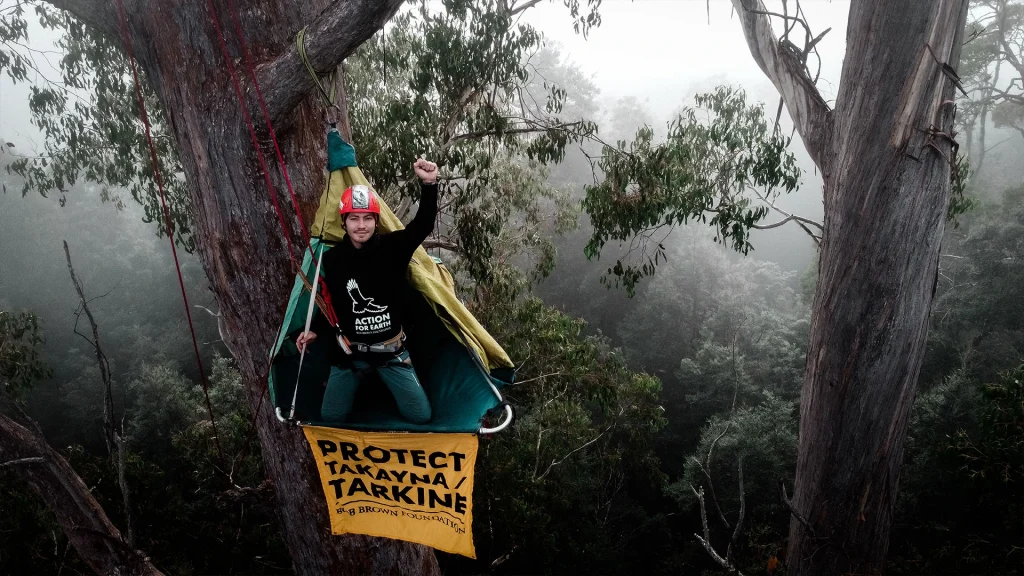 Tree sit hero