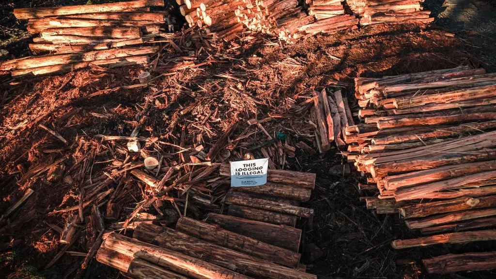 Logging aerial