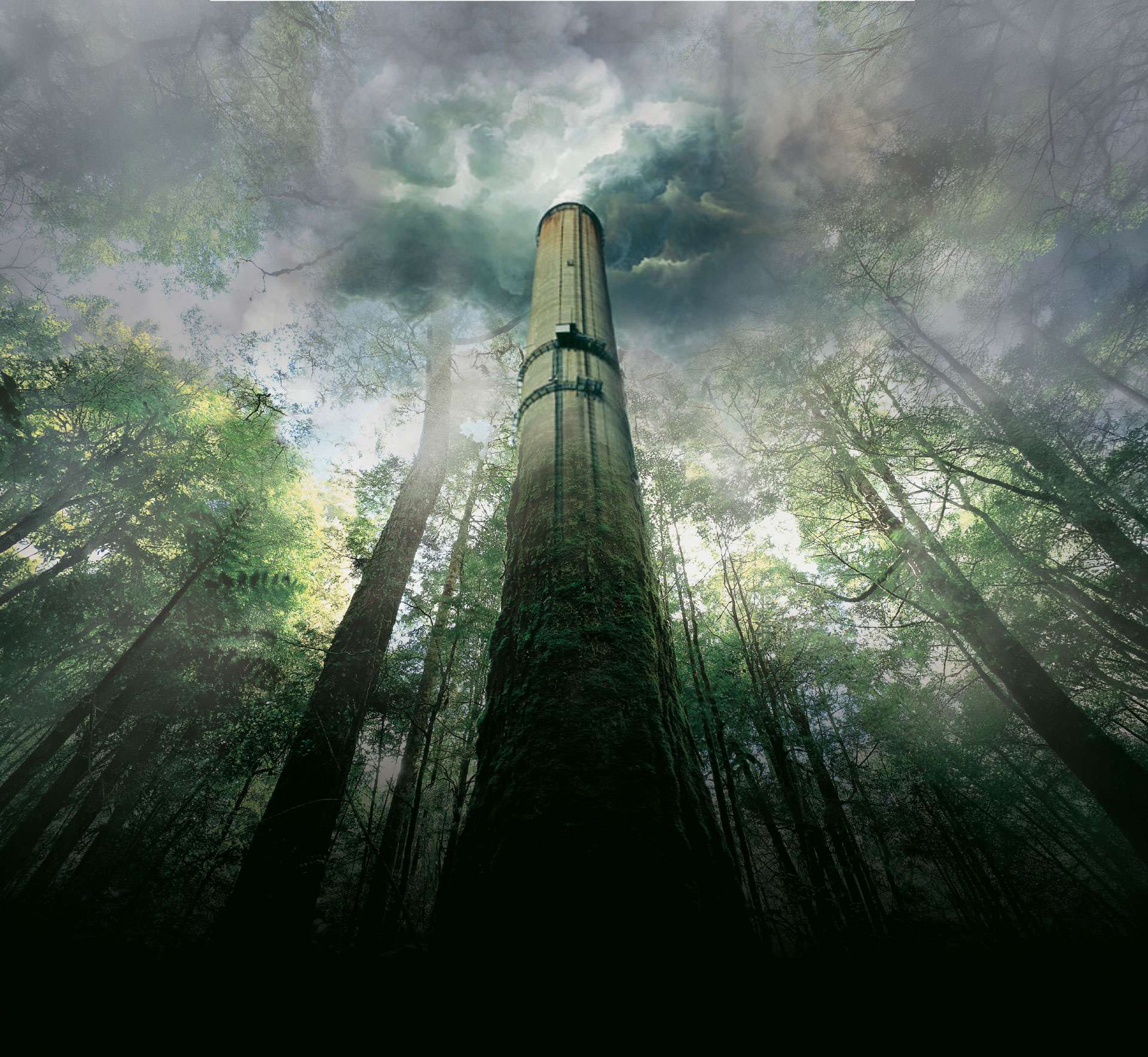 Protecting Australia's forests from biomass burning 