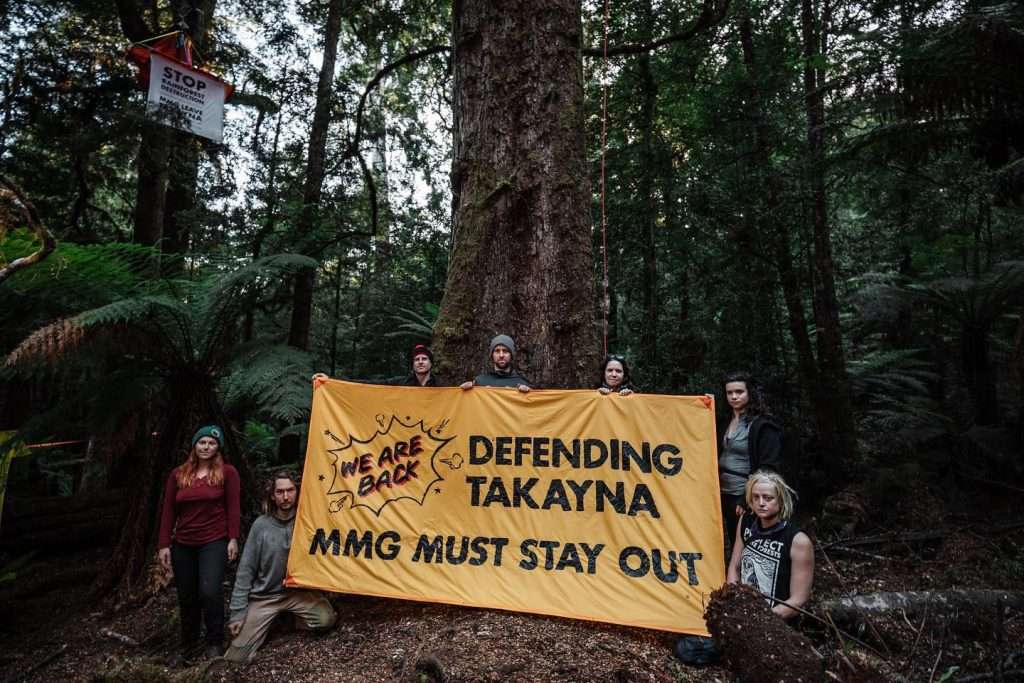 Takayna treesit