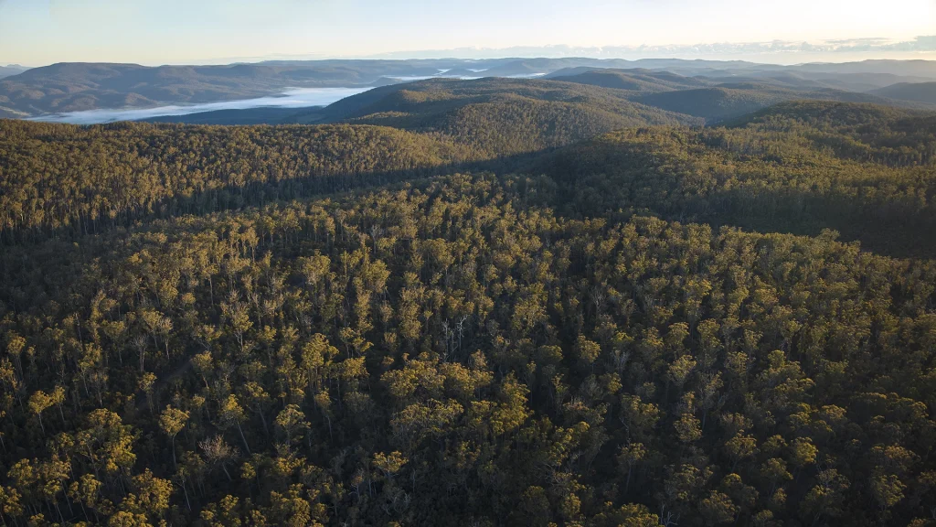 DJI 0144 Panorama