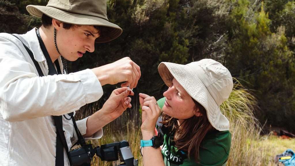 Bioblitz
