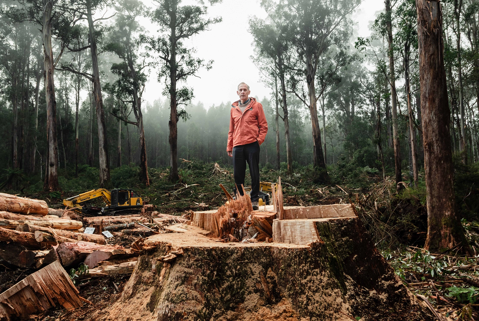 Native forest declaration