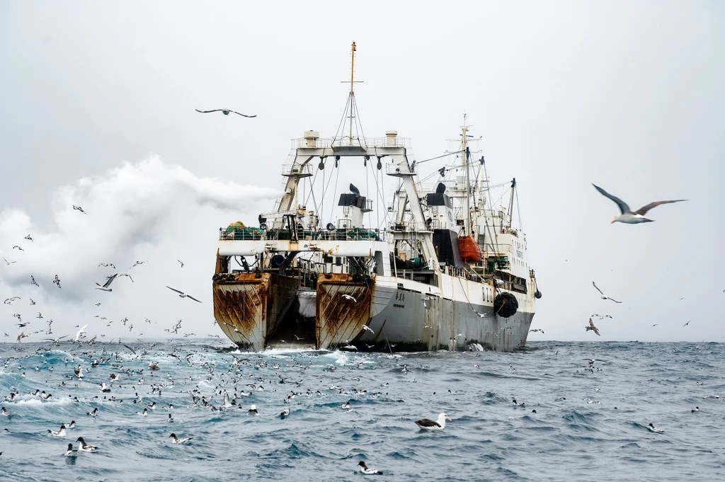 Krill ship
