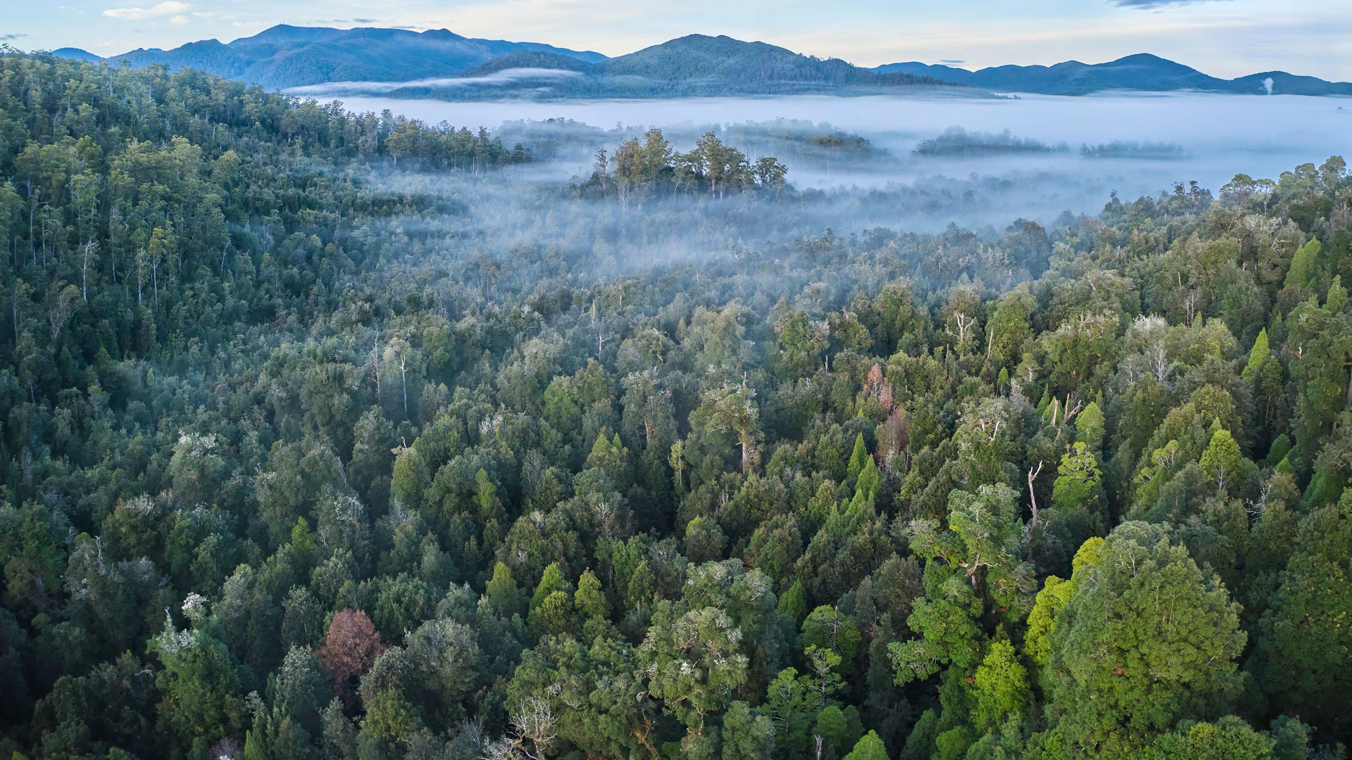 Takayna needs World Heritage protection