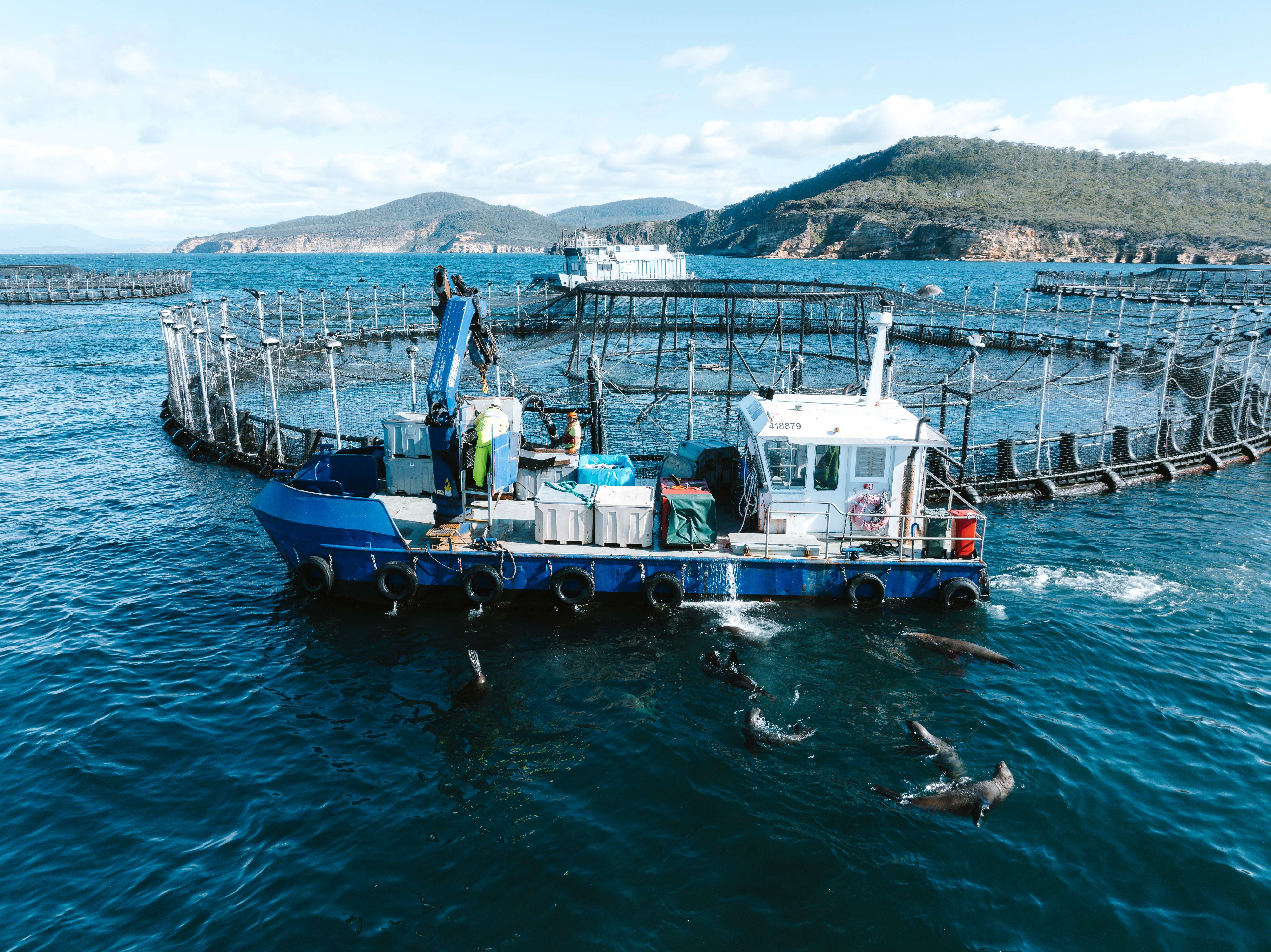Get salmon farms out of Tasmania’s waters